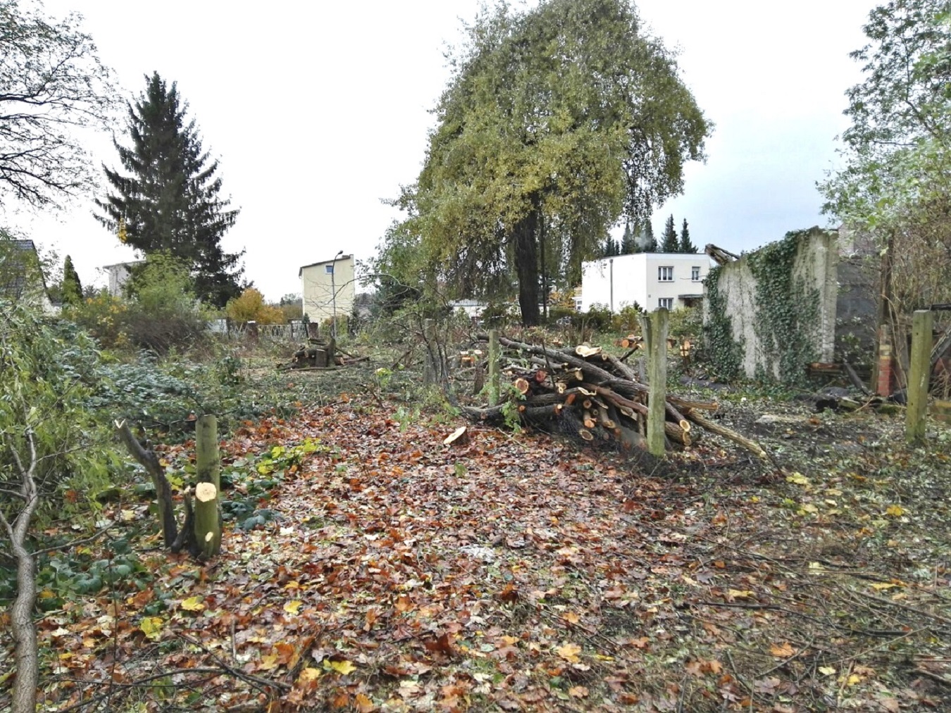 4270 m² Baugrundstück in guter Wohn- und Gewerbelage in Forst, Lausitz