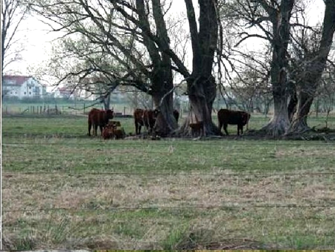 4.664 m² Bauland in Wald- u. Wassernähe in Wustermark bei Berlin