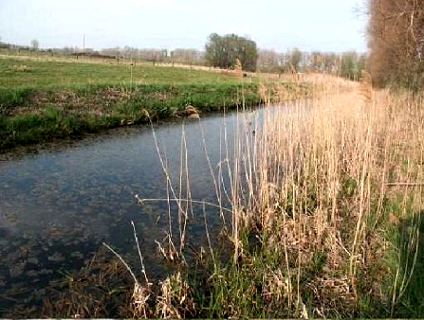 4.664 m² Bauland in Wald- u. Wassernähe in Wustermark bei Berlin