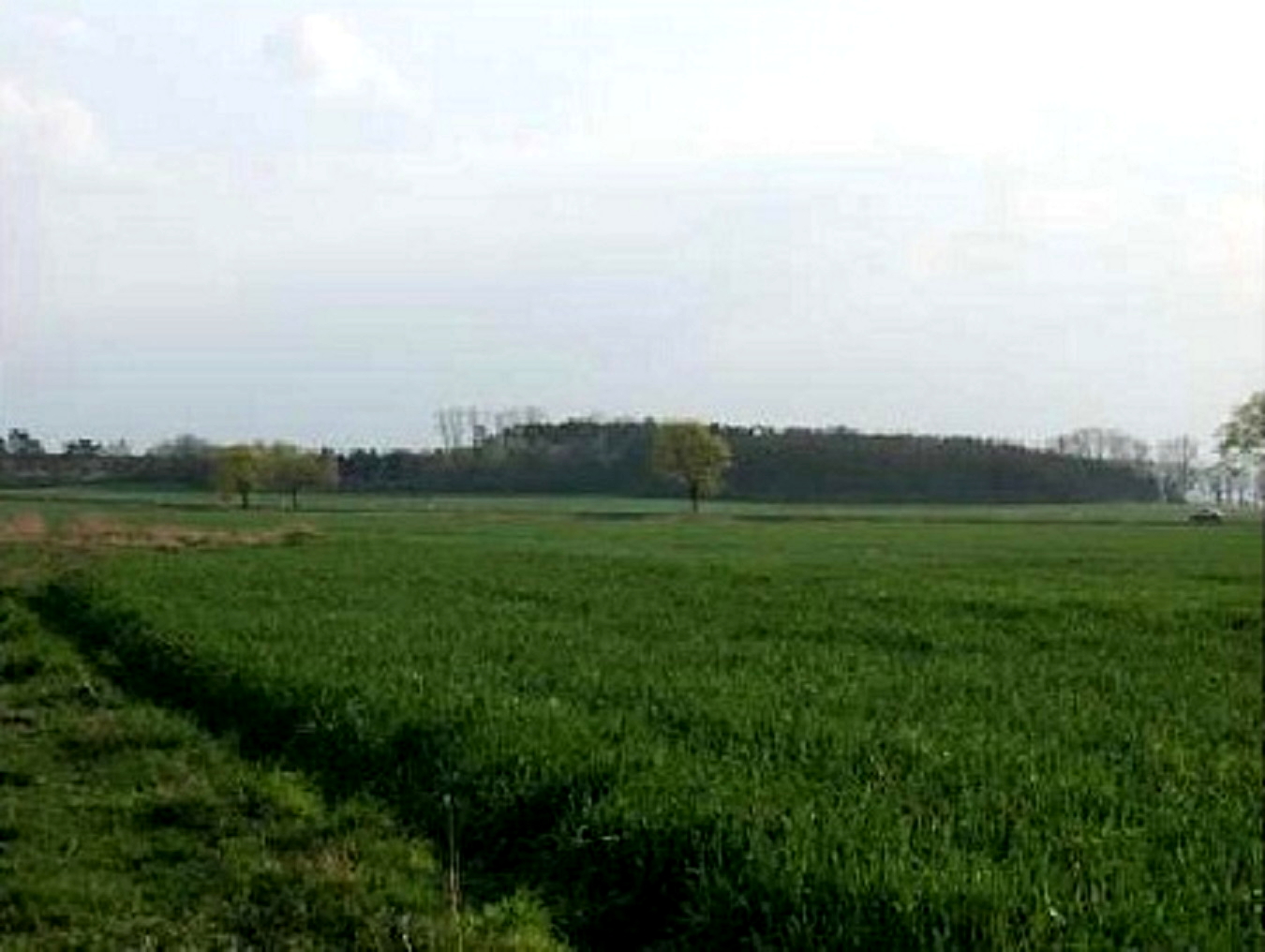 4.664 m² Bauland in Wald- u. Wassernähe in Wustermark bei Berlin