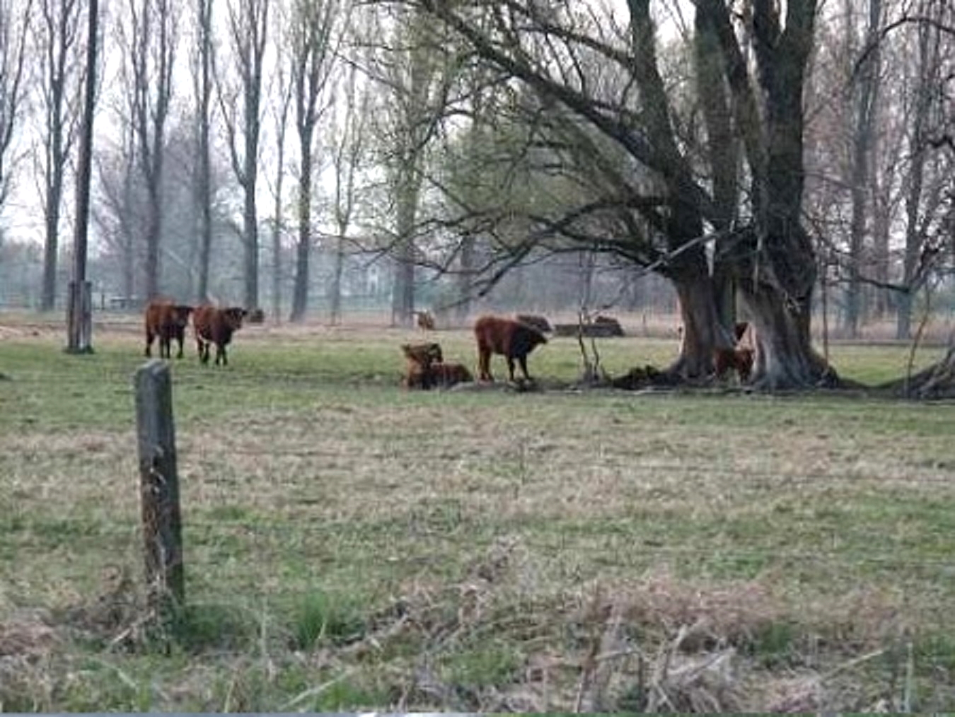 4.664 m² Bauland in Wald- u. Wassernähe in Wustermark bei Berlin