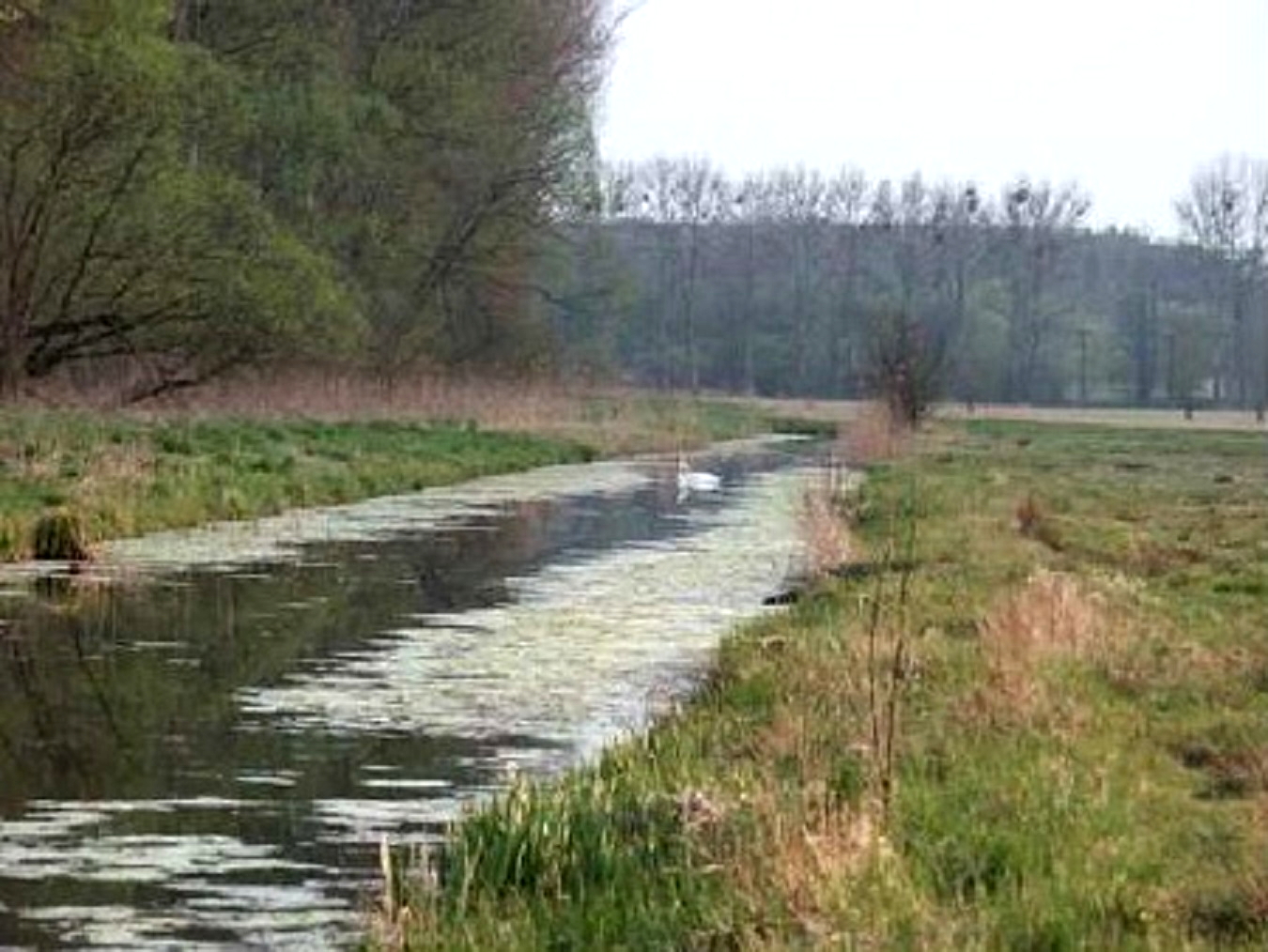 4.664 m² Bauland in Wald- u. Wassernähe in Wustermark bei Berlin
