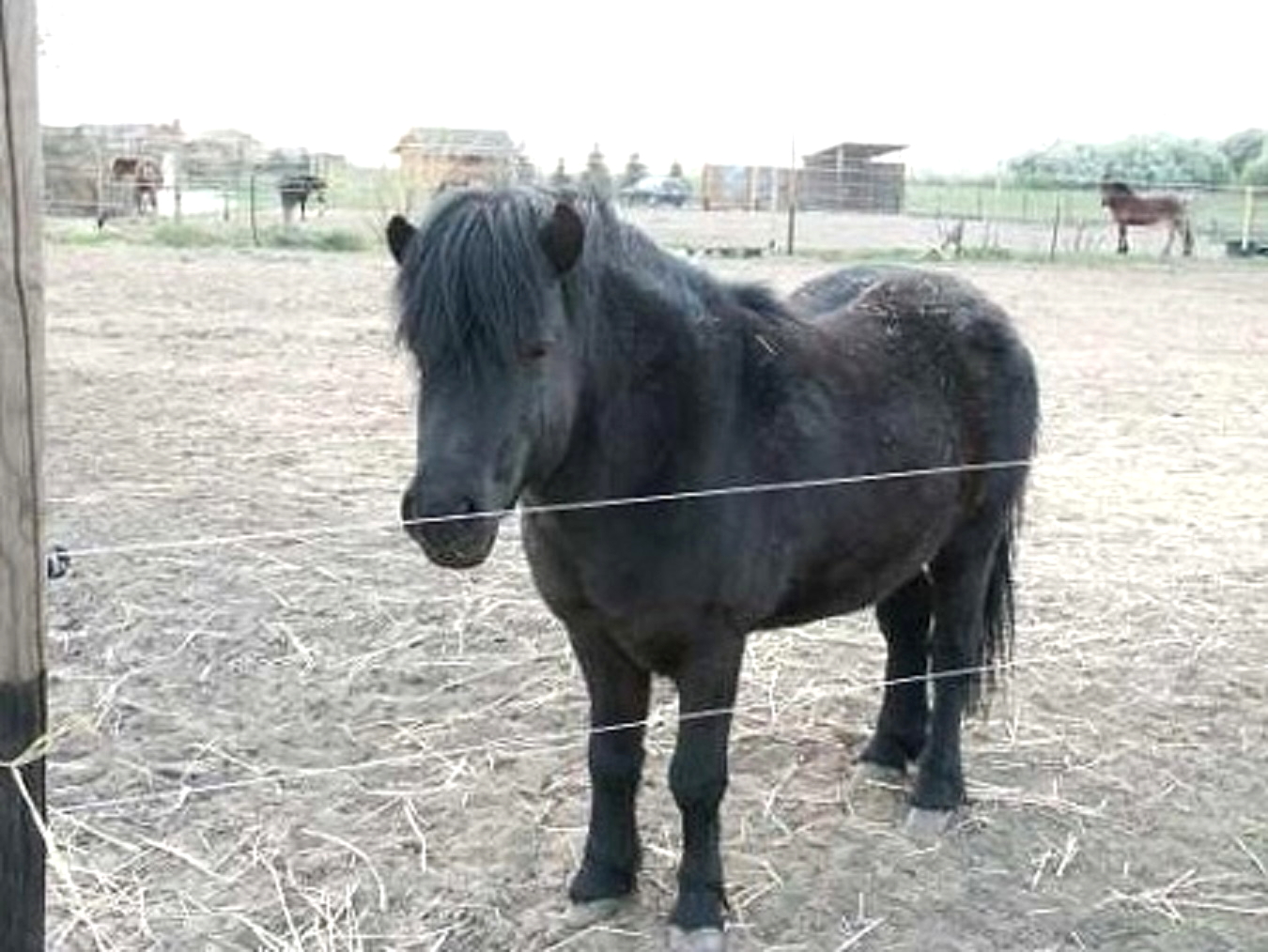 4.664 m² Bauland in Wald- u. Wassernähe in Wustermark bei Berlin