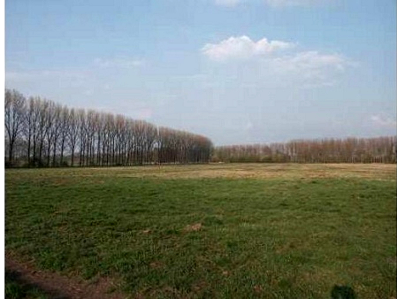 Grundstück für Photovoltaik-Anlage in Wustermark pachten