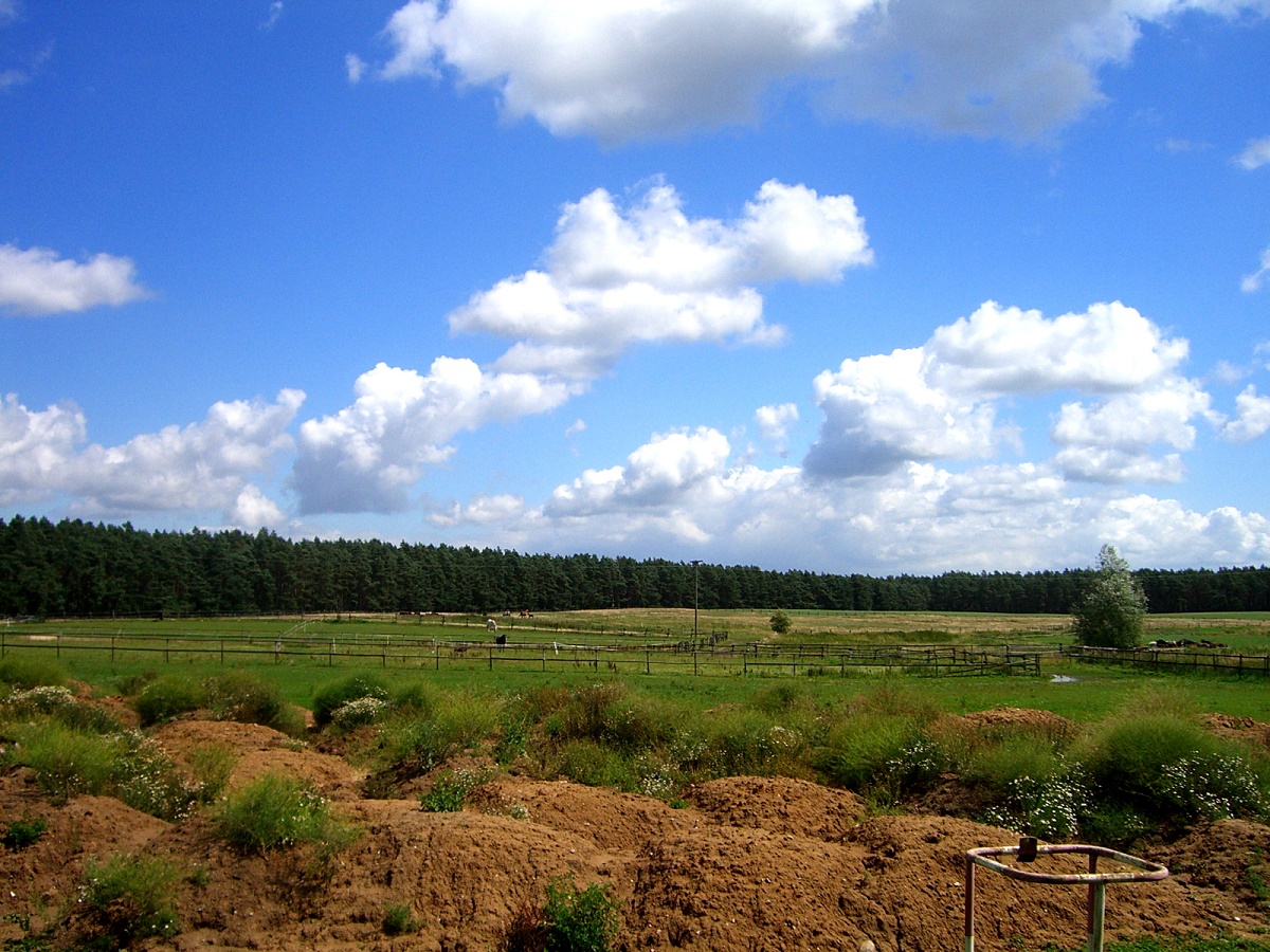 Wohnmobilstellplatz als Kapitalanlage, Projekt in der Stadt Plau am See (Mecklenburgische Seenplatte)