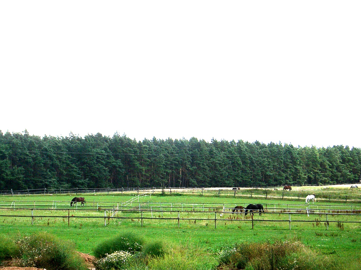 Wohnmobilstellplatz als Kapitalanlage, Projekt in der Stadt Plau am See (Mecklenburgische Seenplatte)