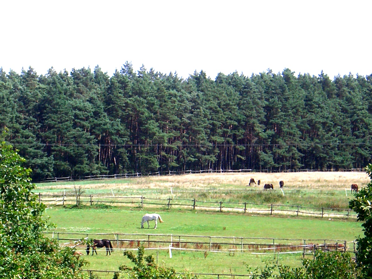 Wohnmobilstellplatz als Kapitalanlage, Projekt in der Stadt Plau am See (Mecklenburgische Seenplatte)