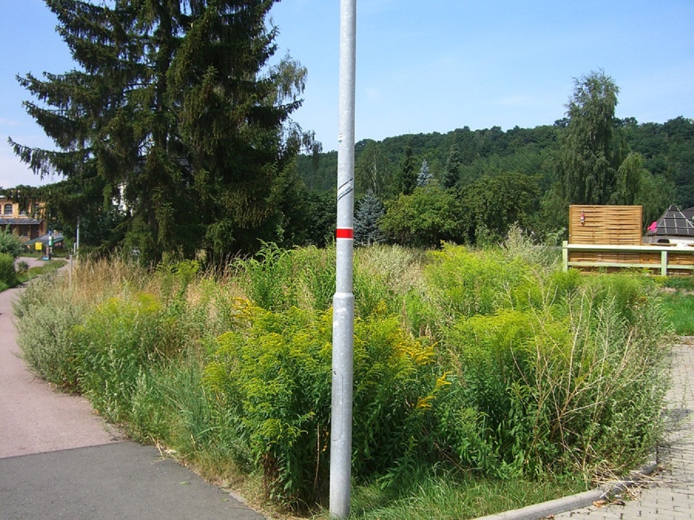 Wohnmobilstellplatz als Kapitalanlage, Projekt in der Stadt Nossen (Sachsen)