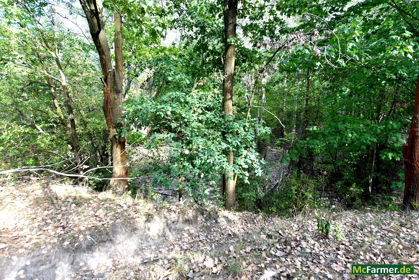 103.824 m² Grundstück mit See in der Stadt Luckenwalde