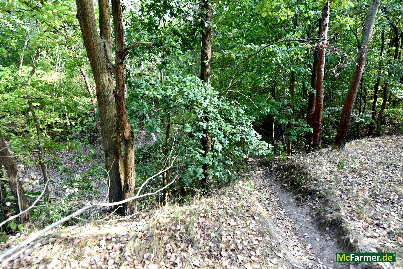 103.824 m² Grundstück mit See in der Stadt Luckenwalde