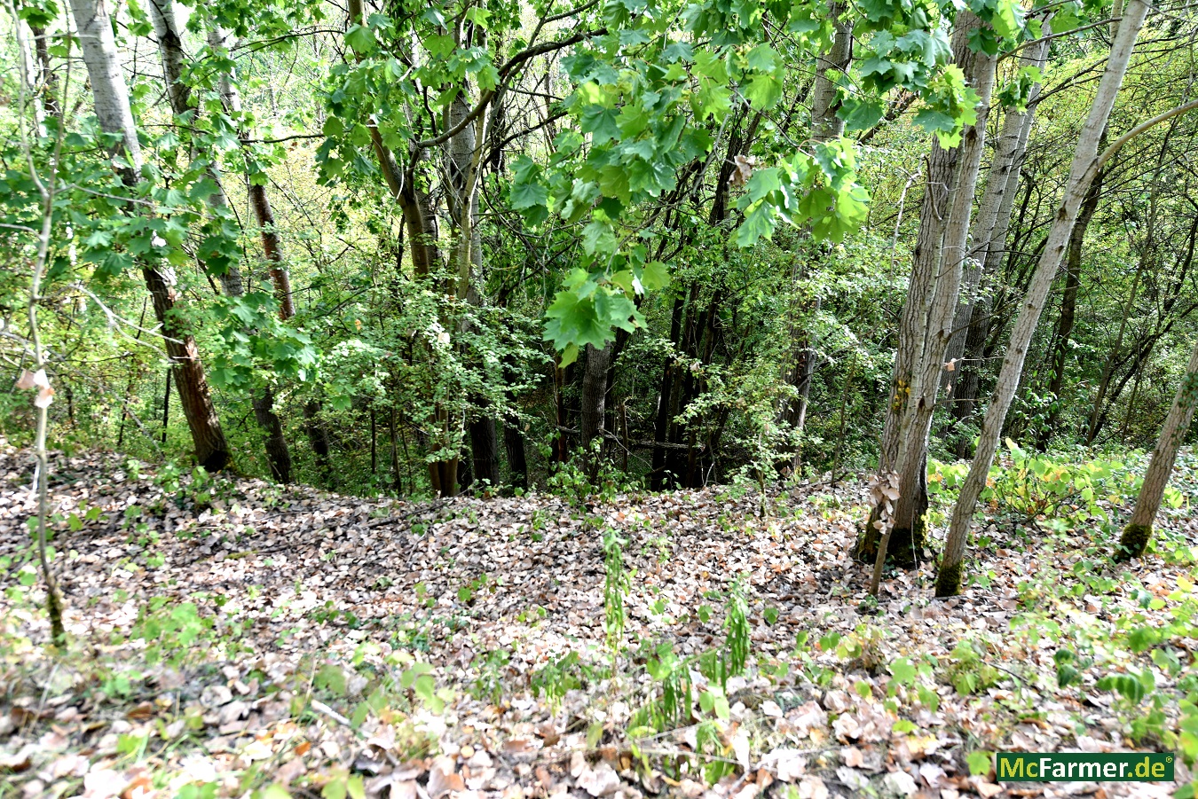 103.824 m² Grundstück mit See in der Stadt Luckenwalde