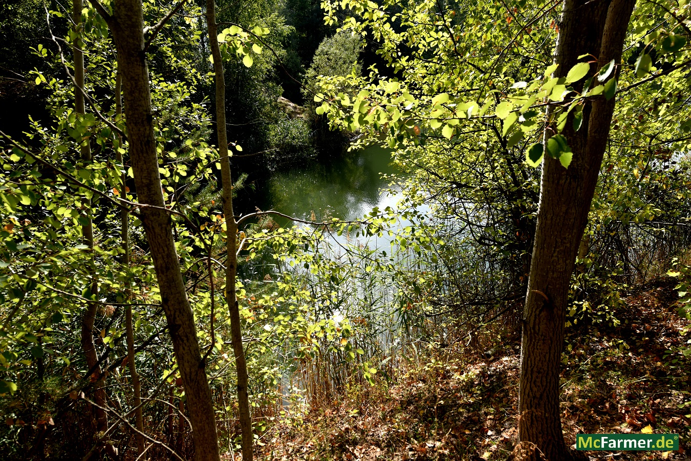 103.824 m² Grundstück mit See in der Stadt Luckenwalde