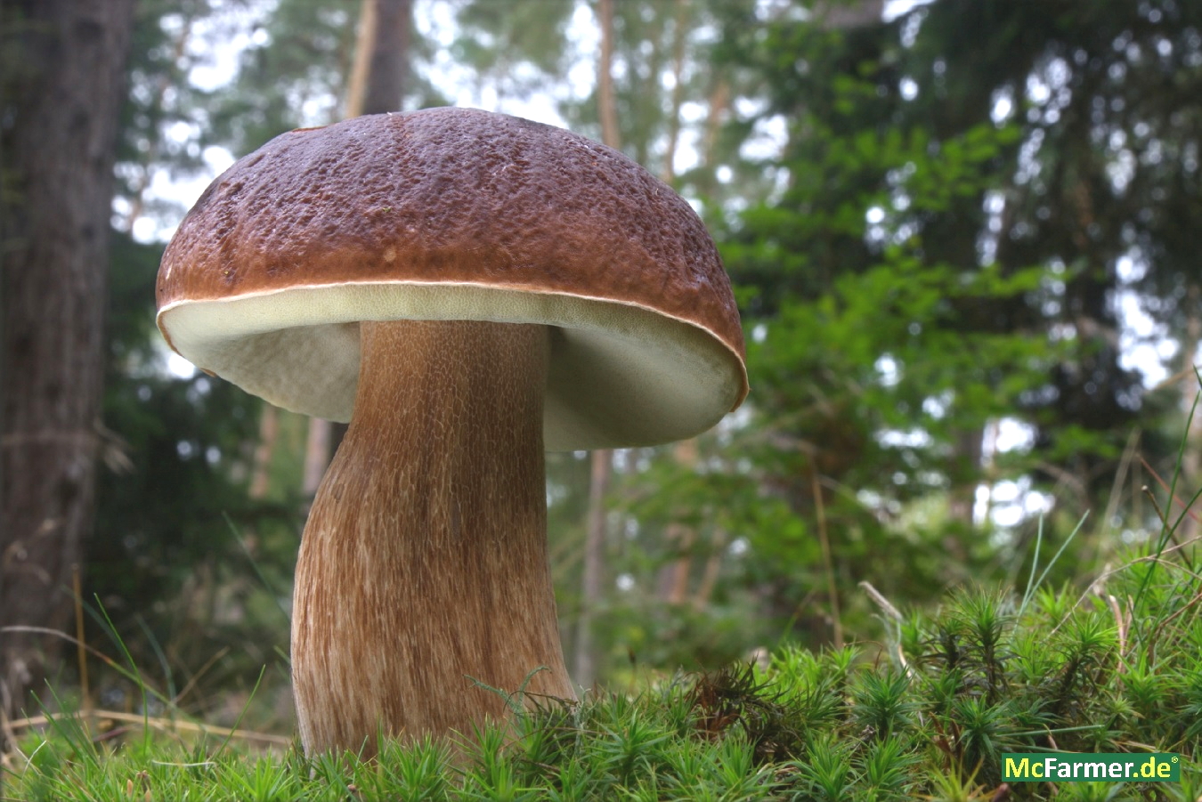 103.824 m² Grundstück mit See in der Stadt Luckenwalde