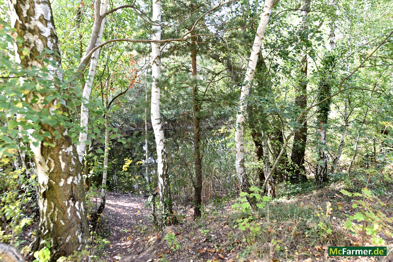 103.824 m² Grundstück mit See in der Stadt Luckenwalde