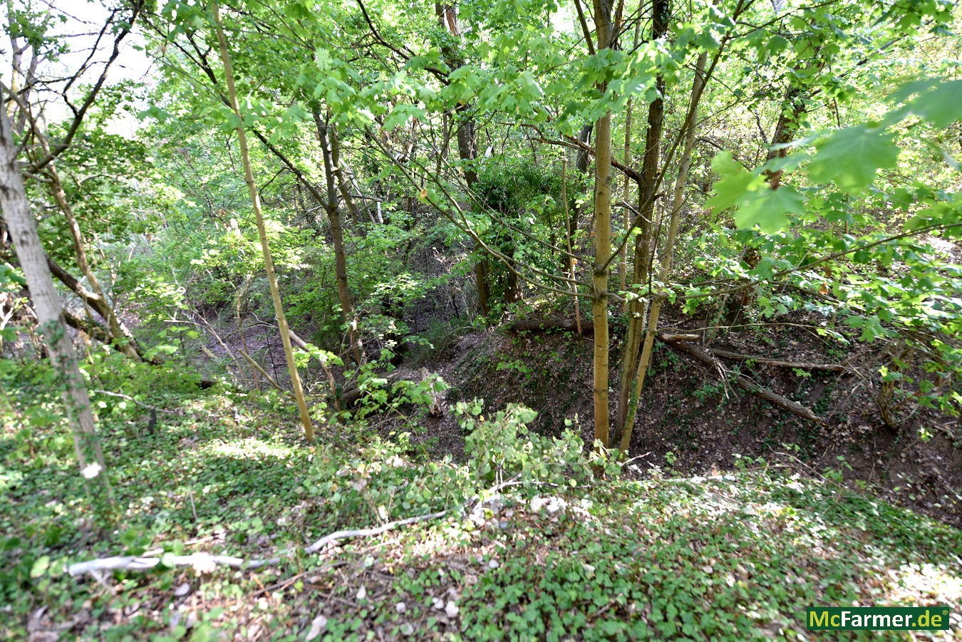 103.824 m² Grundstück mit See in der Stadt Luckenwalde