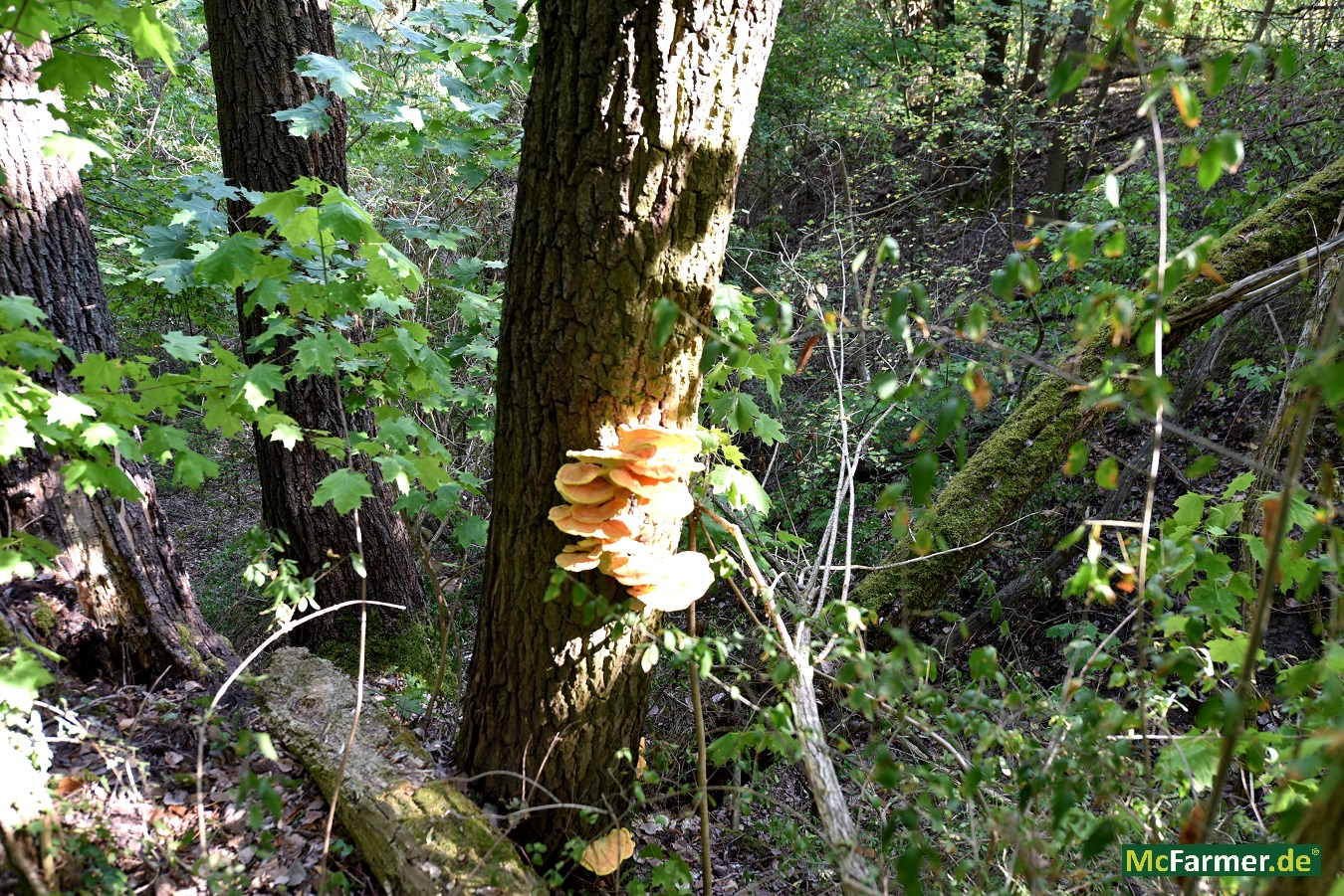 103.824 m² Grundstück mit See in der Stadt Luckenwalde
