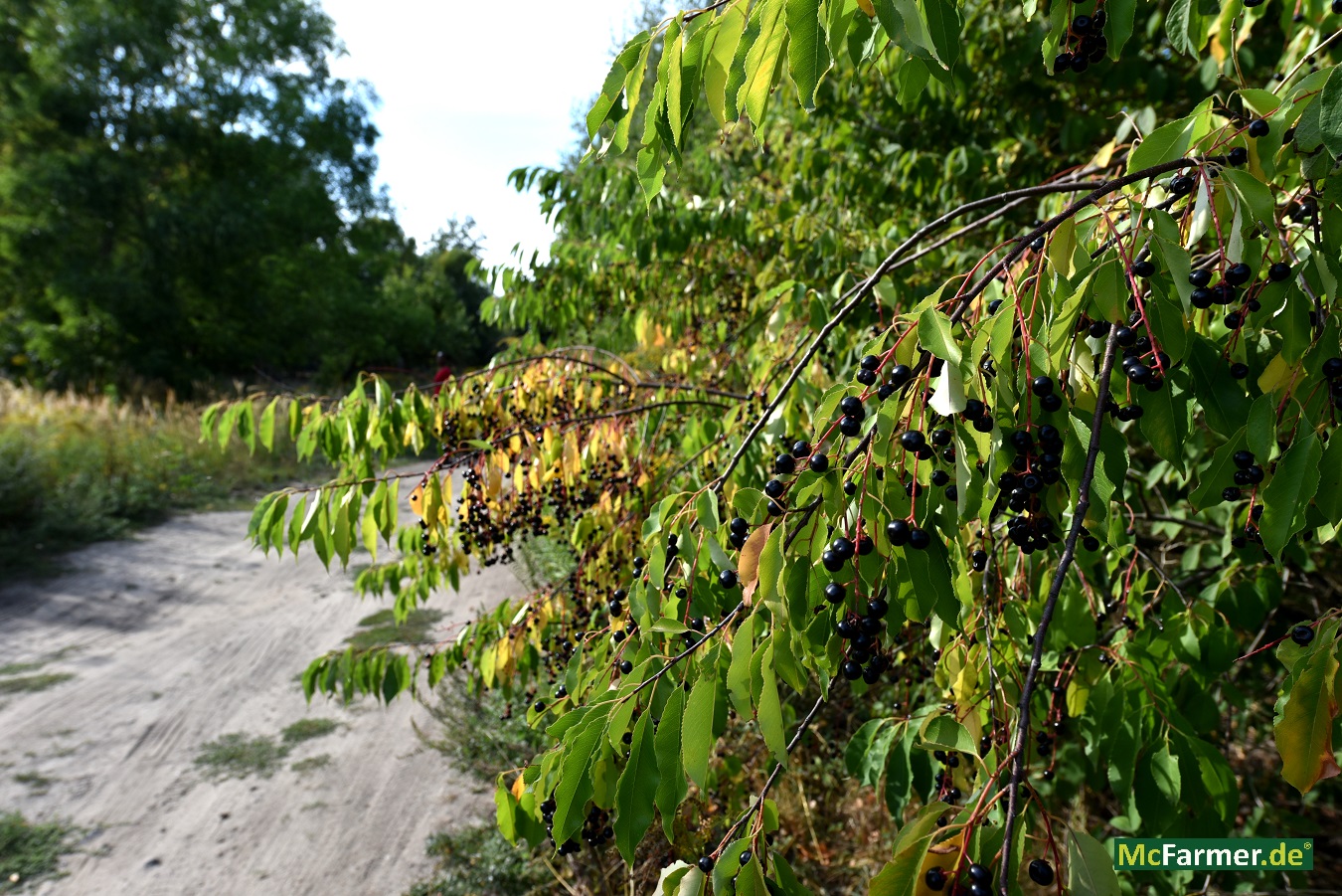103.824 m² Grundstück mit See in der Stadt Luckenwalde