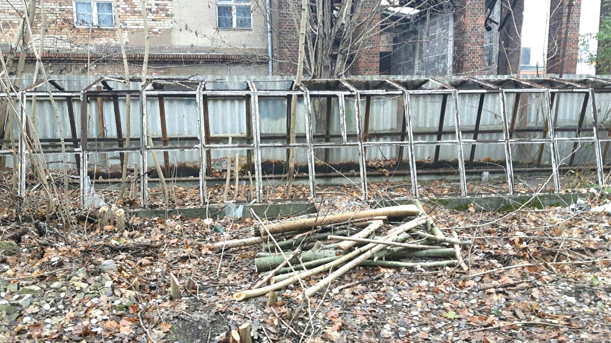 4.270 m² Gewerberundstück für Pflanzenverkauf in Forst (Lausitz) mieten