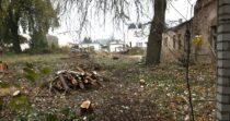 4.270 m² Garten-Grundstück in Forst (Lausitz) mieten