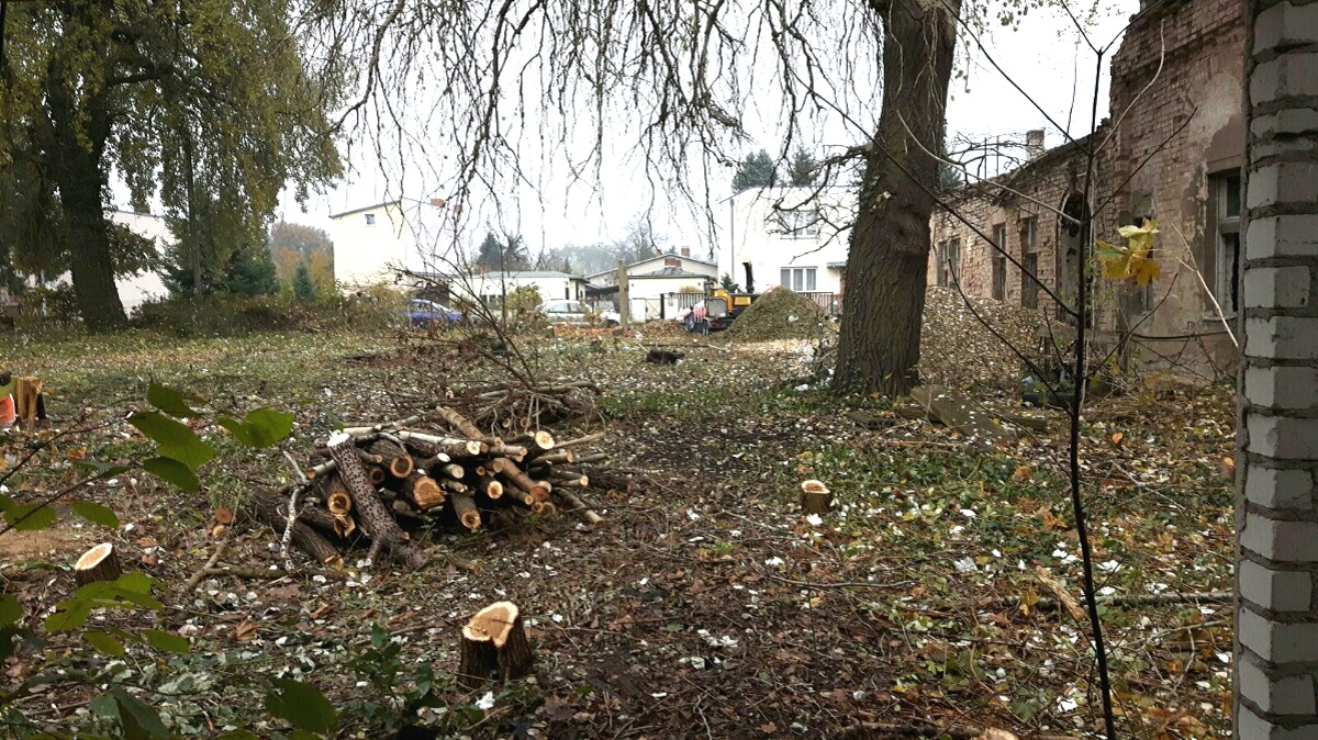 4.270 m² Gewerberundstück für Pflanzenverkauf in Forst (Lausitz) mieten