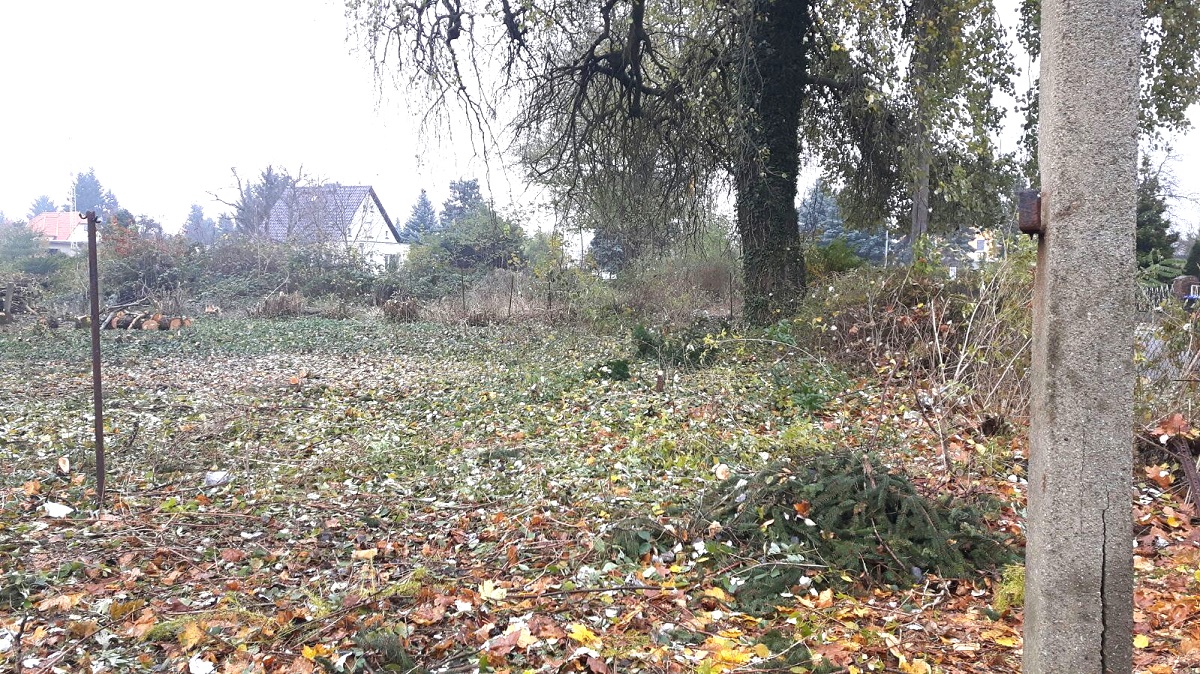 Wohnmobilstellplatz als Kapitalanlage in der Stadt Forst (Brandenburg)