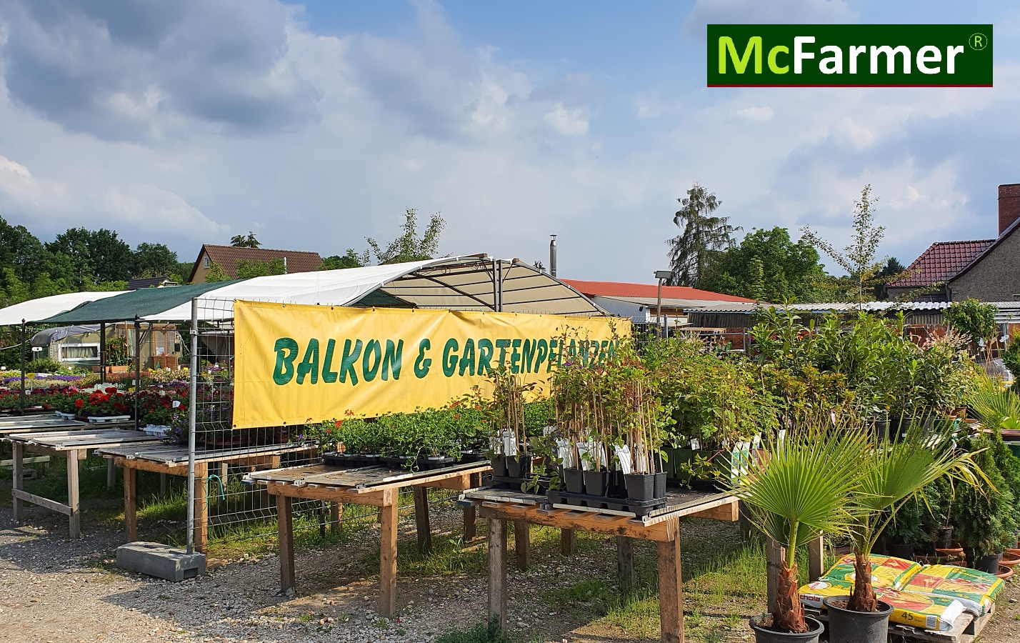 4.270 m² Gewerberundstück für Pflanzenverkauf in Forst (Lausitz) mieten