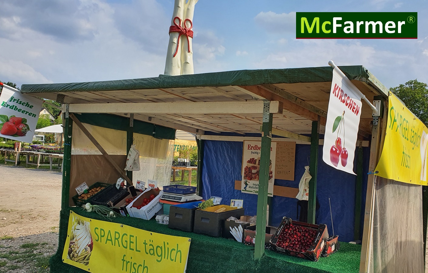 4.270 m² Gewerberundstück für Pflanzenverkauf in Forst (Lausitz) mieten