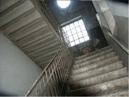 Marihuana-Cannabis-Plantage in Coswig bei Dresden zu vermieten