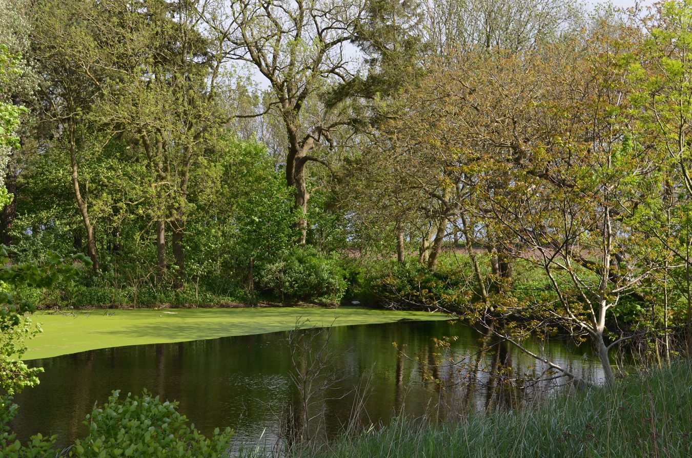 Großes Freizeitgrundstück mit Teich nahe Ostsee mieten
