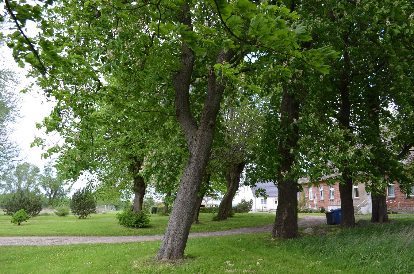 Großes Freizeitgrundstück mit Teich nahe Ostsee mieten