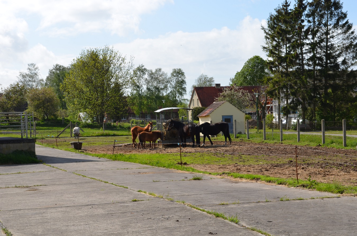 Großes Freizeitgrundstück mit Teich nahe Ostsee mieten