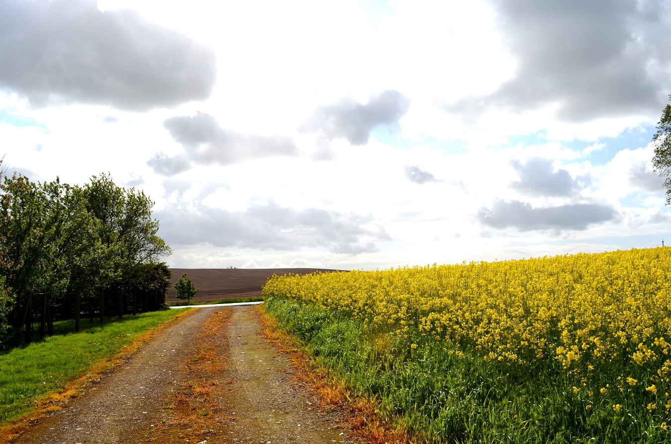 Großes Freizeitgrundstück mit Teich nahe Ostsee mieten