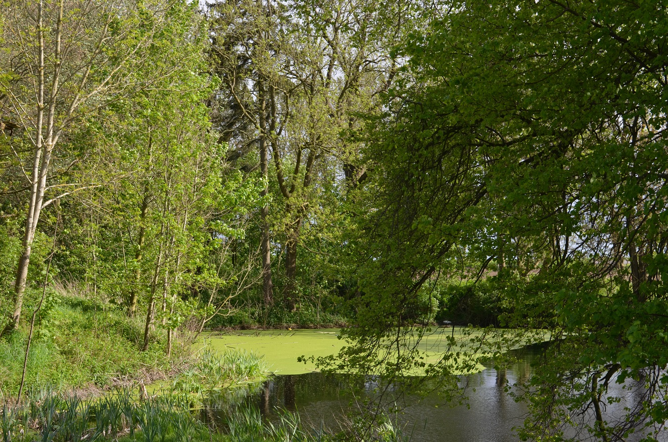 Großes Freizeitgrundstück mit Teich nahe Ostsee mieten