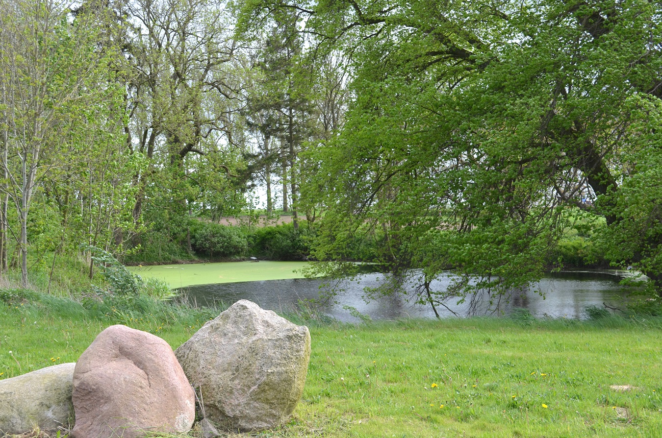 Großes Freizeitgrundstück mit Teich nahe Ostsee mieten