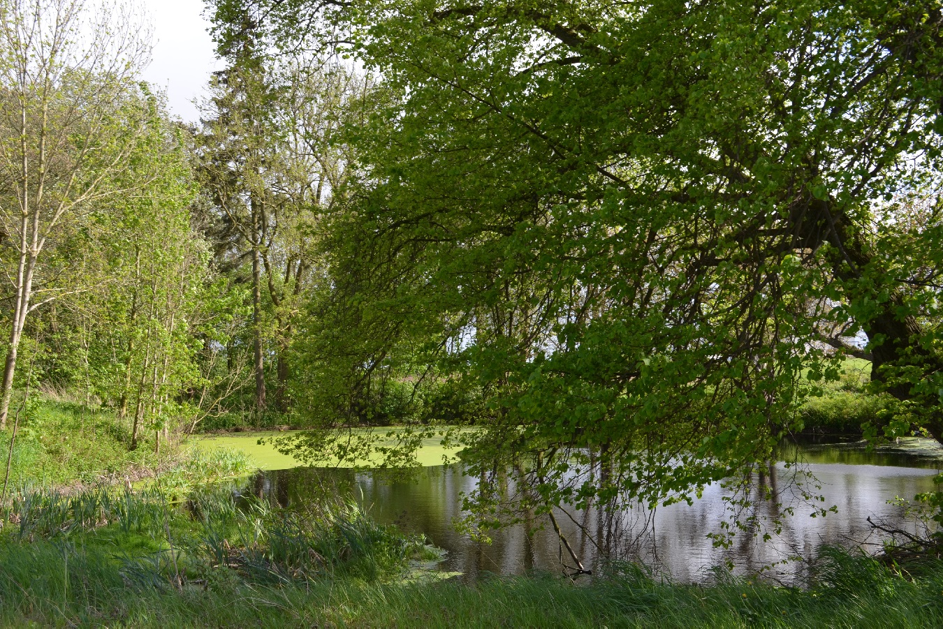 Großes Freizeitgrundstück mit Teich nahe Ostsee mieten