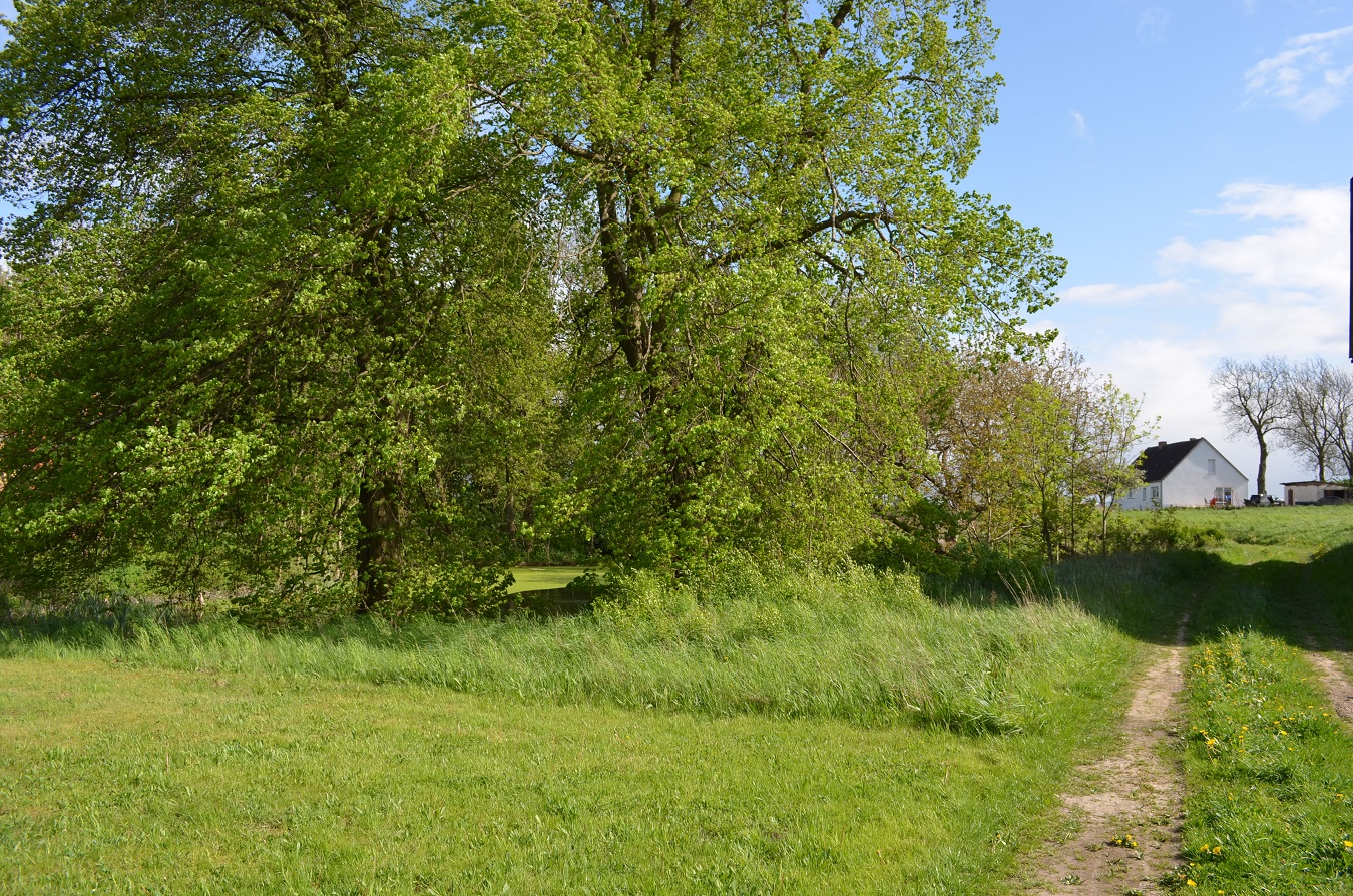 Großes Freizeitgrundstück mit Teich nahe Ostsee mieten
