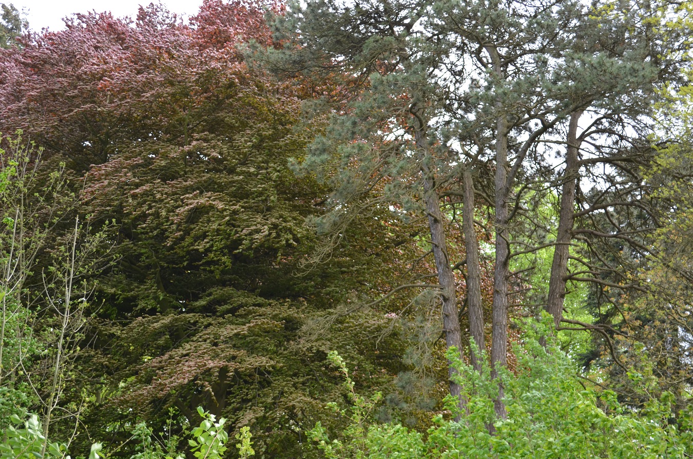 Großes Freizeitgrundstück mit Teich nahe Ostsee mieten