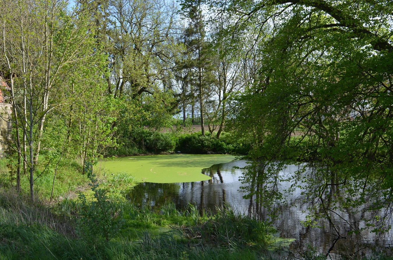 Großes Freizeitgrundstück mit Teich nahe Ostsee mieten