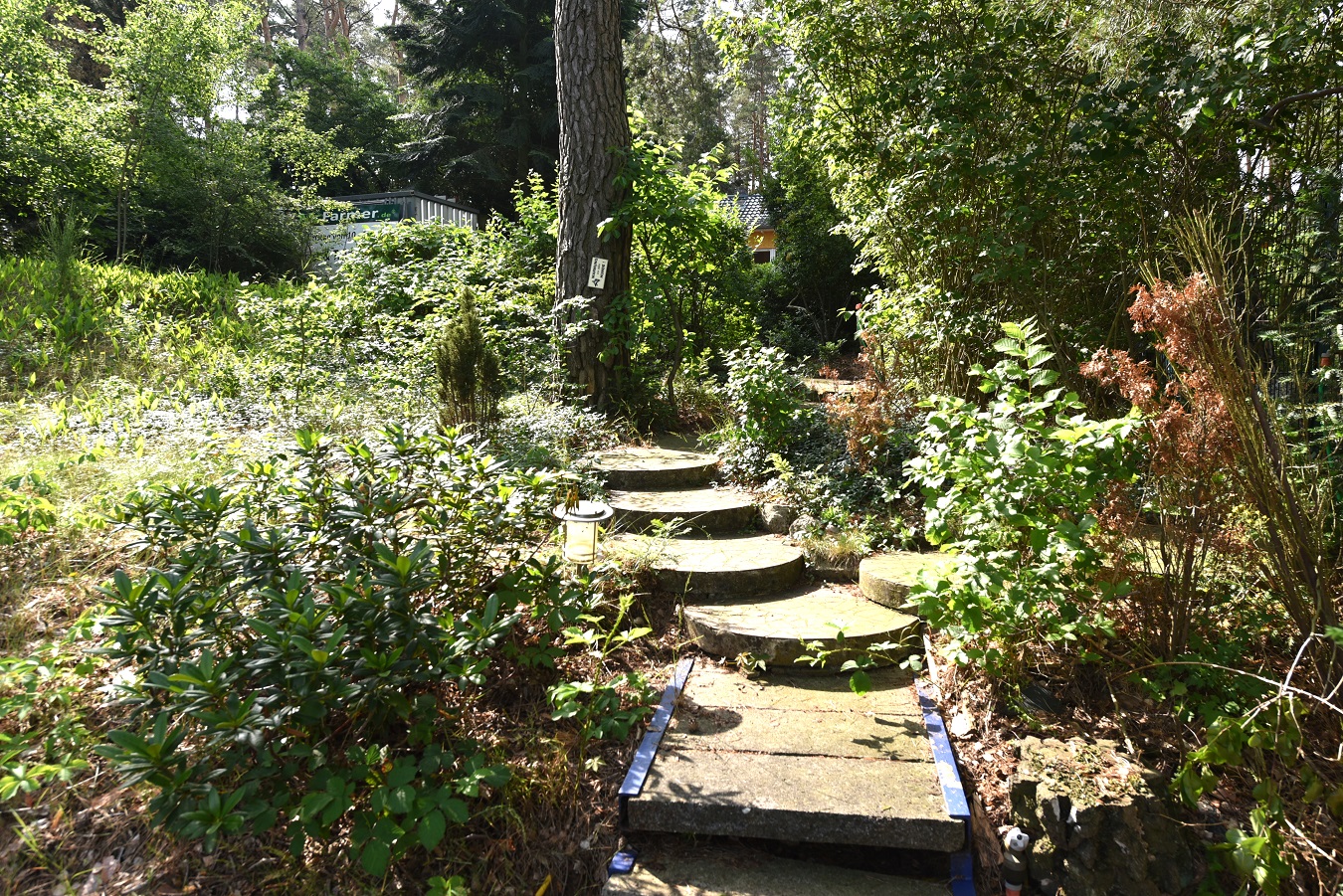 Kleine Villa am Waldsee mit direktem Seezugang, bei Berlin