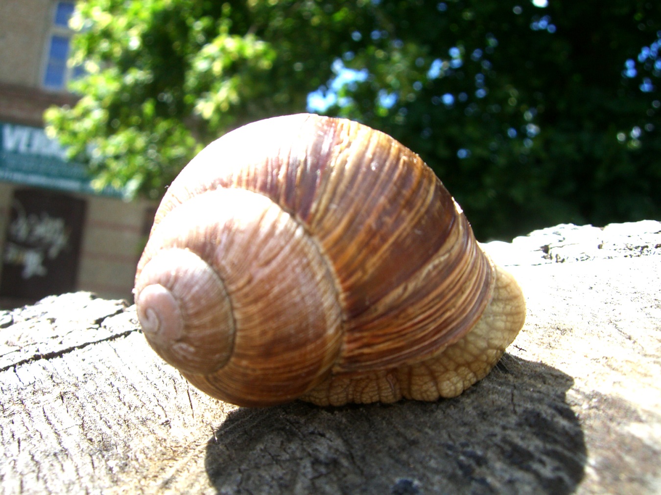 Wohnmobilstellplatz als Kapitalanlage, Projekt in der Stadt Plau am See (Mecklenburgische Seenplatte)