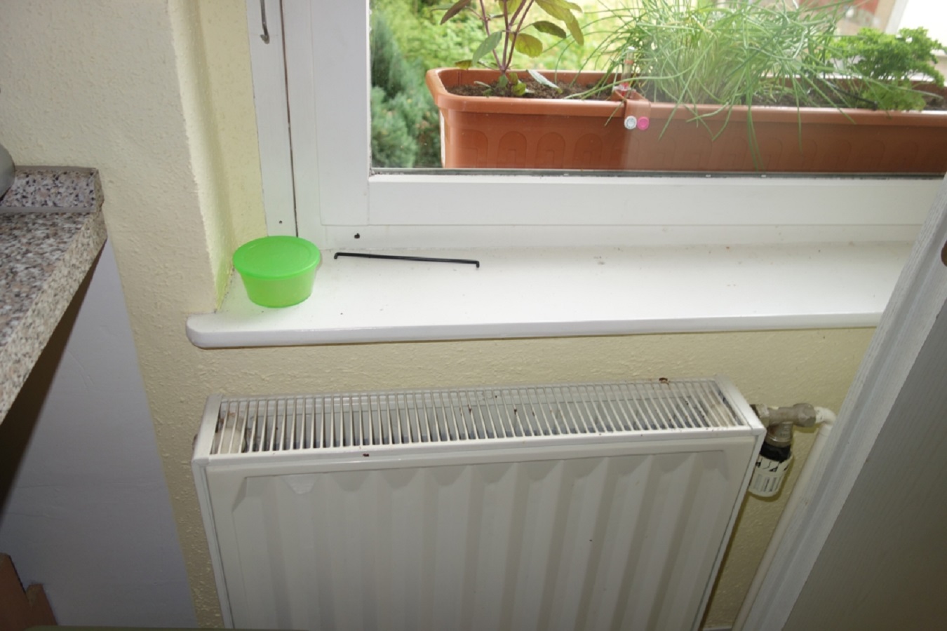 Erotik Gewerbehaus am Schlossberg in Glauchau