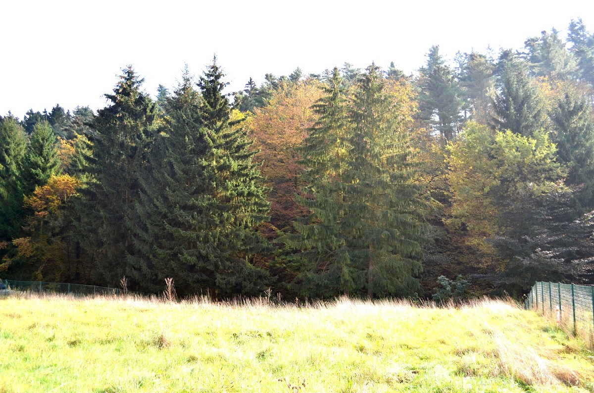 Wohnmobilstellplatz als Kapitalanlage in Grünenplan (Weserbergland)