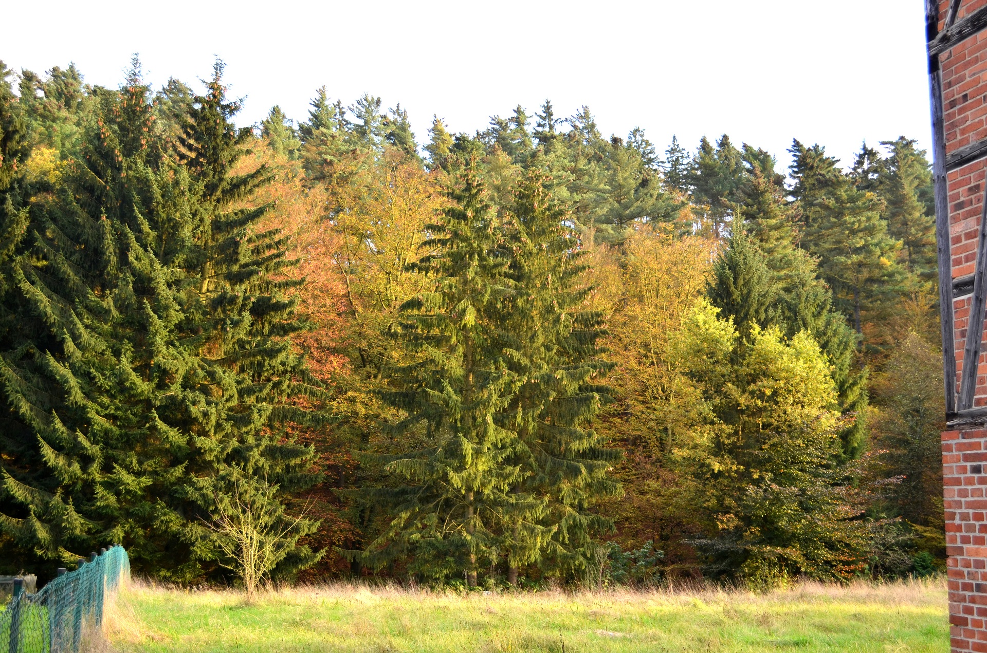 Wohnmobilstellplatz als Kapitalanlage in Grünenplan (Weserbergland)