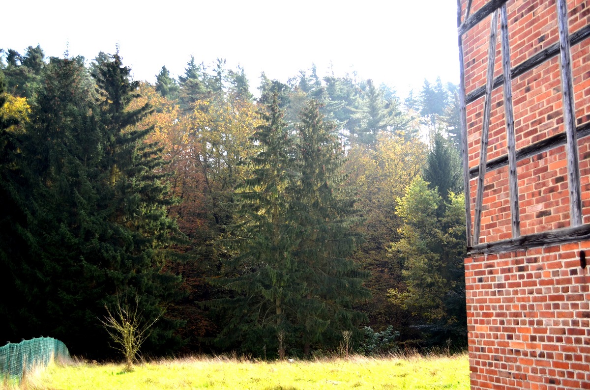 Das rote Haus von Grünenplan, Erotic-Immobilie mit großen Garten am Bach