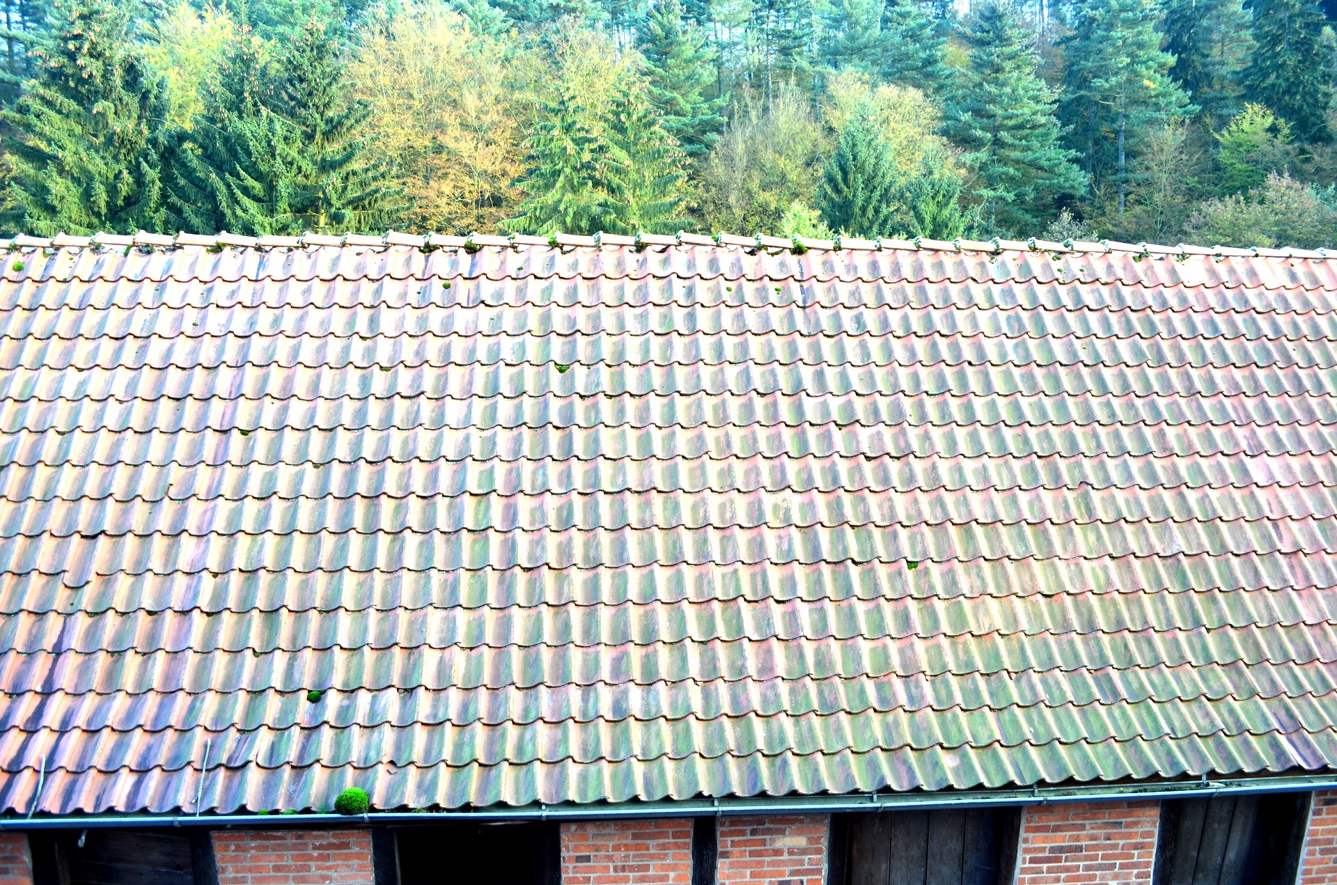 Mehrfamilienhaus mit 6 Wohnungen in Grünenplan, Sanierungsobjekt mit großen Garten am Bach