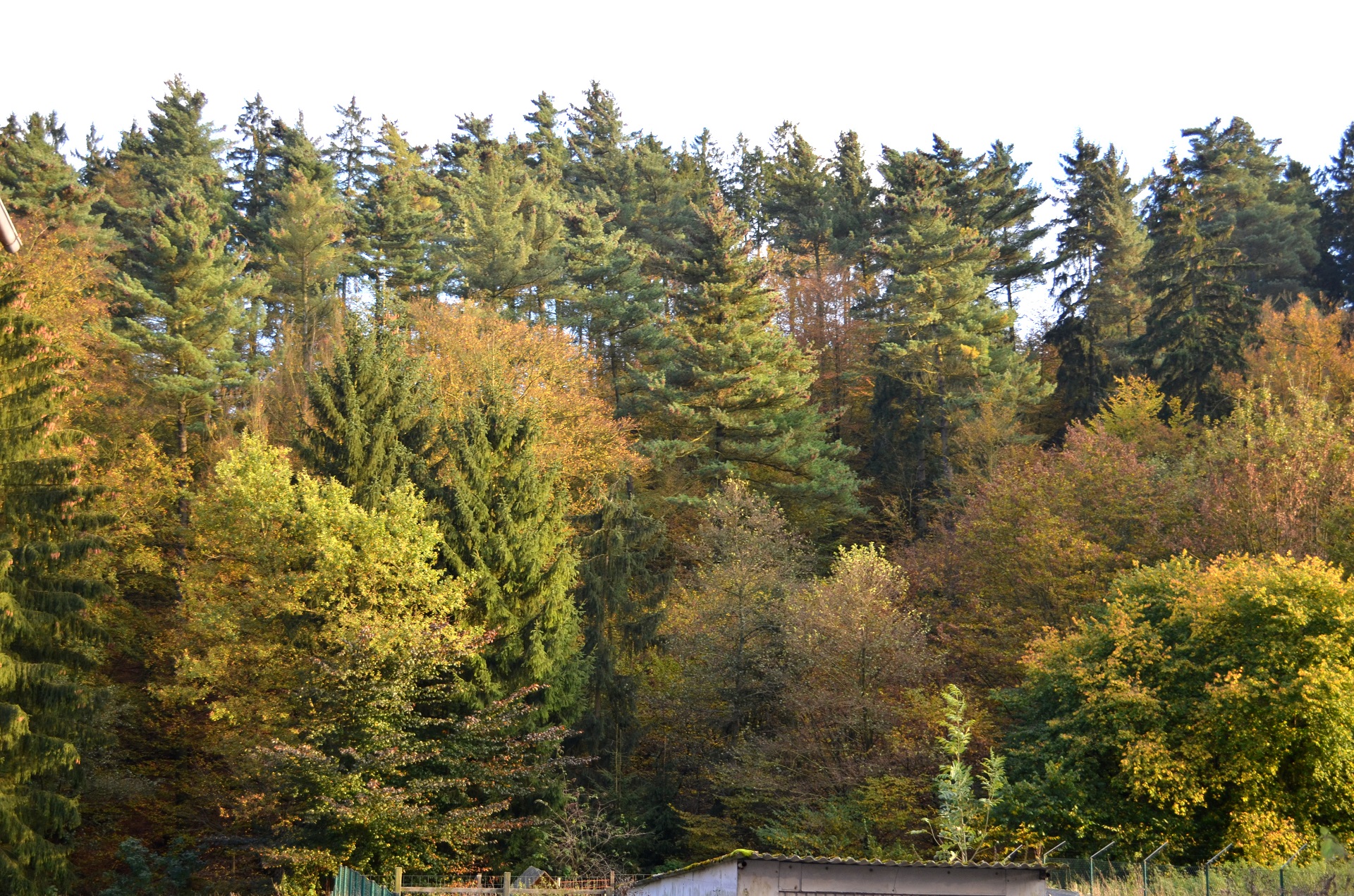 Das rote Haus von Grünenplan, Erotic-Immobilie mit großen Garten am Bach