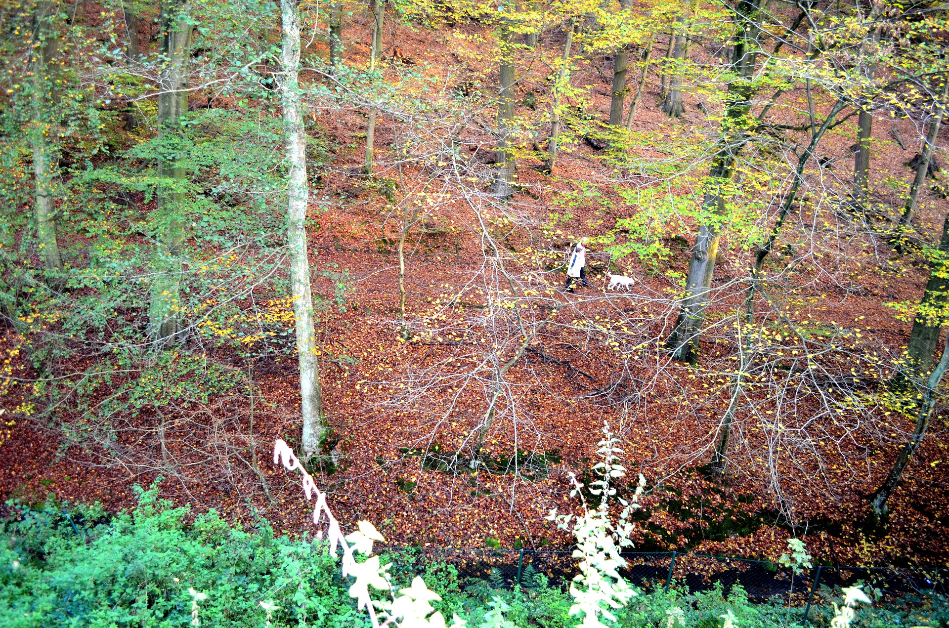 Mehrfamilienhaus mit 6 Wohnungen in Grünenplan, Sanierungsobjekt mit großen Garten am Bach
