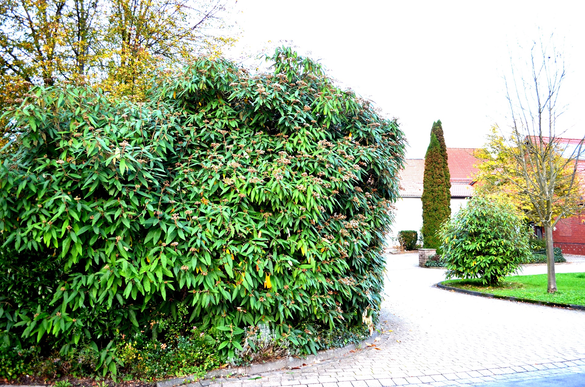 Mehrfamilienhaus mit 6 Wohnungen in Grünenplan, Sanierungsobjekt mit großen Garten am Bach