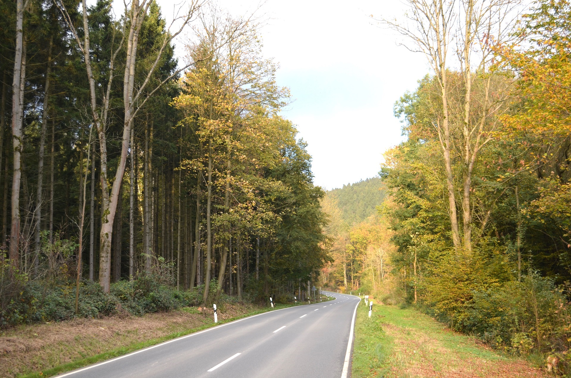 Das rote Haus von Grünenplan, Erotic-Immobilie mit großen Garten am Bach