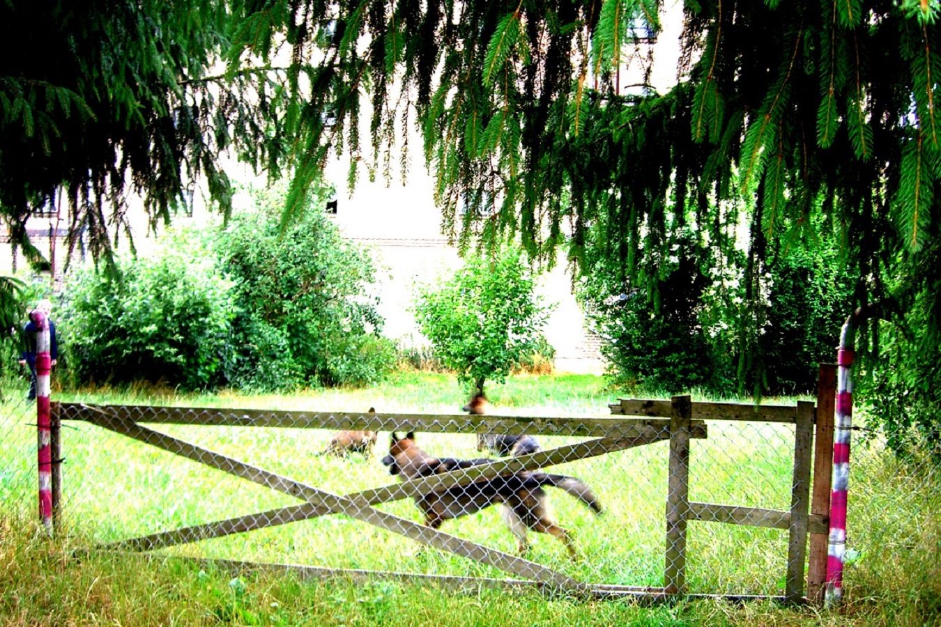 2.125 m² Historischer Speicher Denkmal, Sanierungsobjekt nahe Rostock